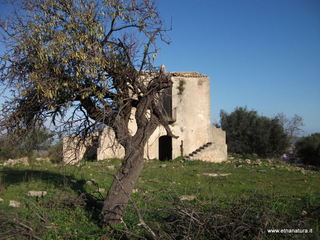 tapiccola-13-01-2013 09-22-56